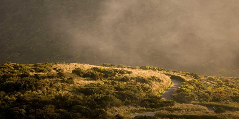 环保染料技术革新：诚宏染料如何提升汽车内饰纺织品耐光耐候性