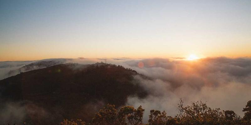 诚宏分散染料在涤纶纤维染色中的关键技术参数深度解析