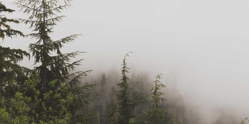 诚宏染料11:引领纺织业绿色变革的环保染料新标杆