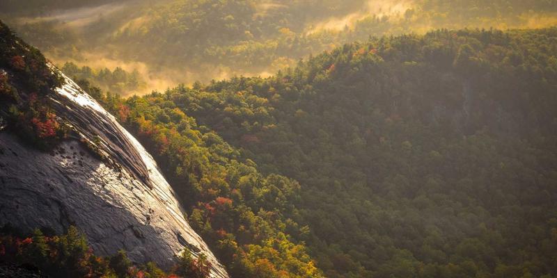 诚宏染料32：引领化工行业绿色转型的环保染料先锋