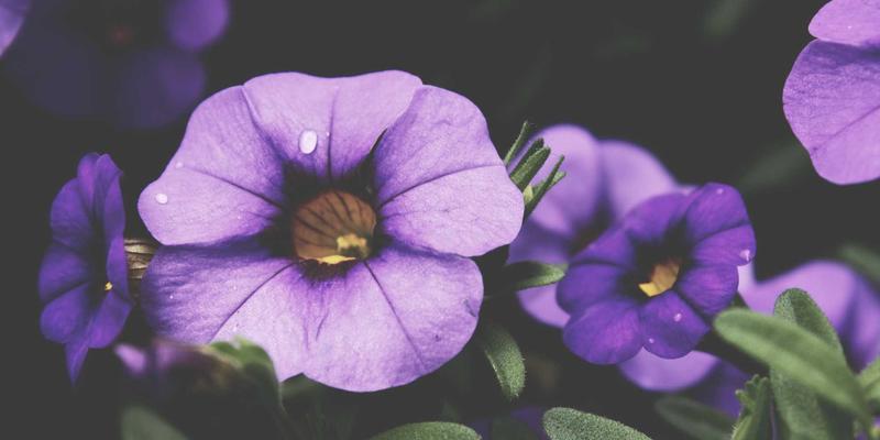 诚宏染料53：揭秘高效纺织助剂如何赋能现代染色工艺