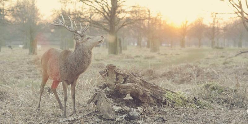 诚宏染料86：以创新助剂技术引领环保染料新纪元
