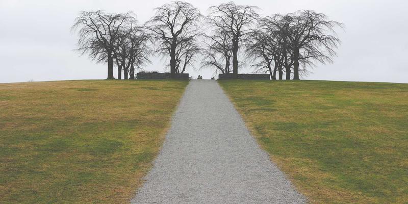 诚宏染料89:纺织行业的色彩革新与可持续发展新标杆