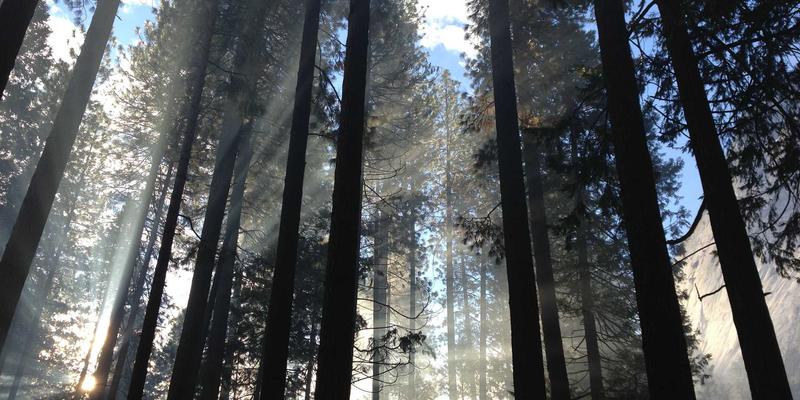 诚宏染料94：引领纺织行业绿色转型的环保染料与助剂解决方案