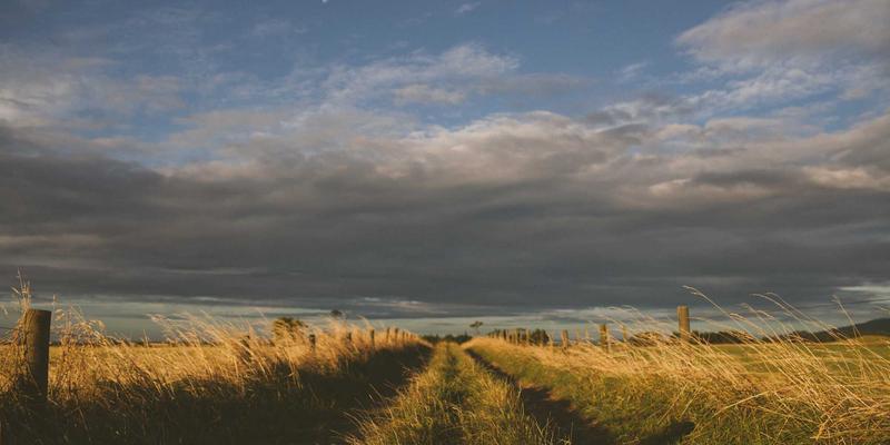 诚宏染料98:纺织化工领域的创新解决方案与卓越性能解析