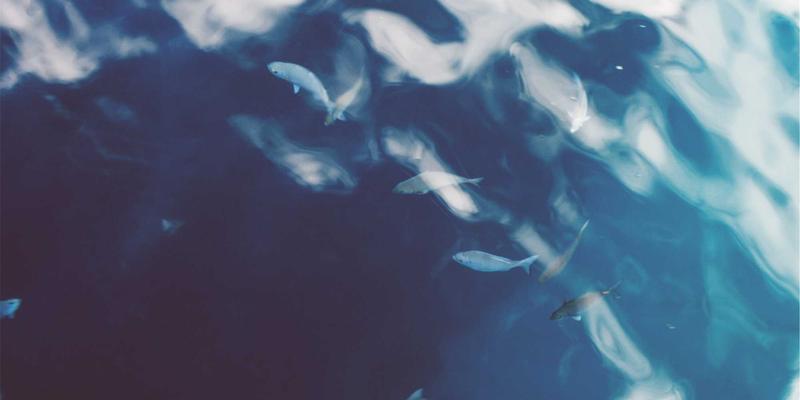 诚宏染料99:纺织工业的色彩引擎与创新先锋