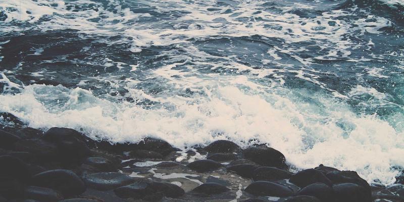 诚宏染料使用全攻略：从基础到进阶的专业染色指南