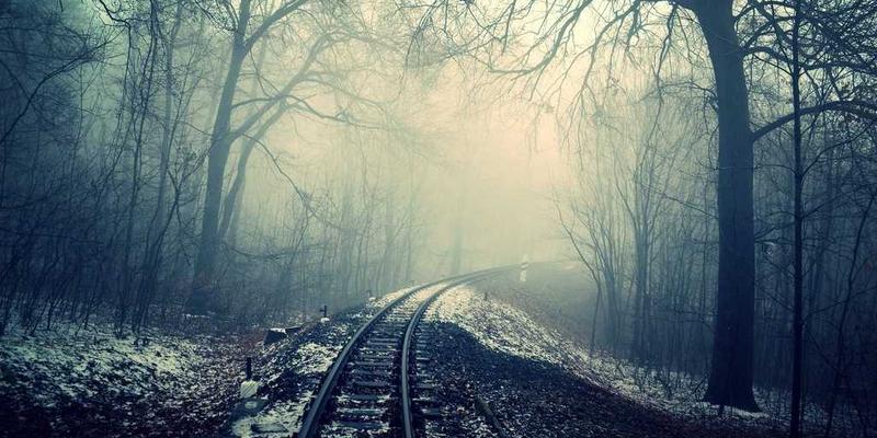 诚宏染料：创新纺织助剂体系，实现羊毛低温染色与卓越色彩保护