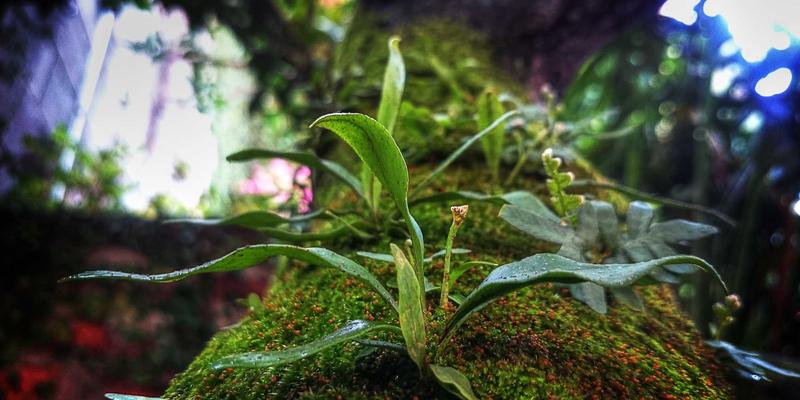 诚宏染料化工：生态友好型荧光与夜光染料如何重塑时尚产业未来