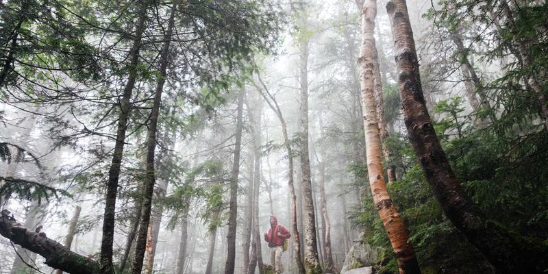 诚宏染料：引领纺织印染行业的环保化工革命与创新应用
