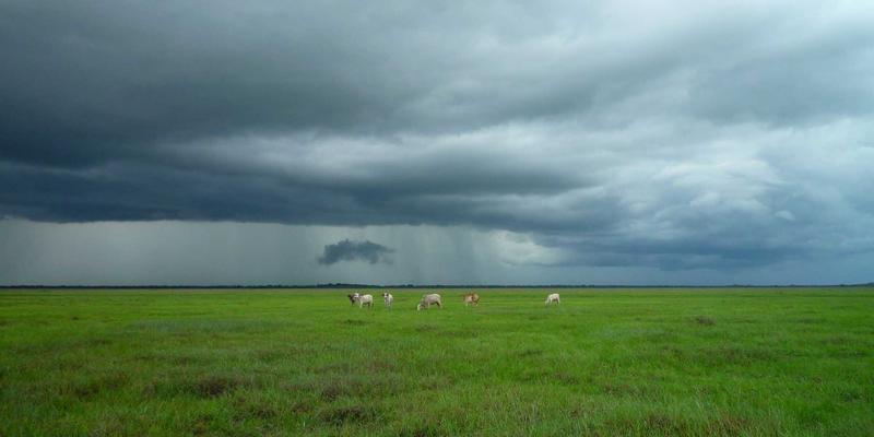 诚宏染料深度评测：在化工与纺织助剂领域的卓越表现与应用解析